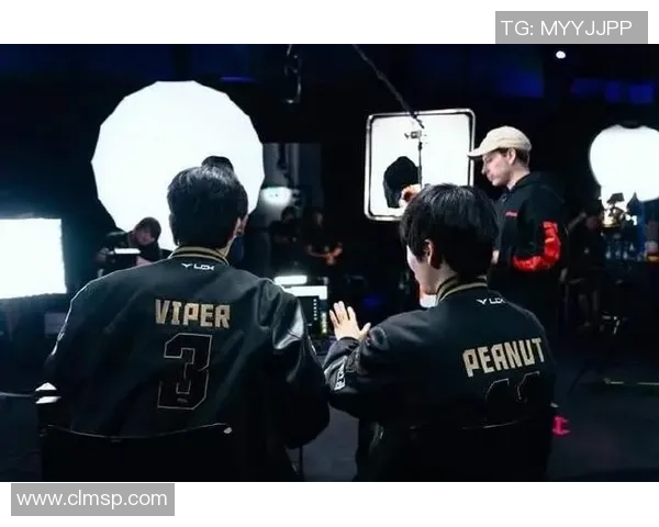 ViperADC：探索英雄联盟职业赛场中的顶尖ADC选手成长与竞技之路