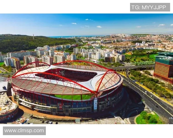 洞察世界杯赛场风云：全球足球盛宴深度解读与精彩回顾全景呈现录