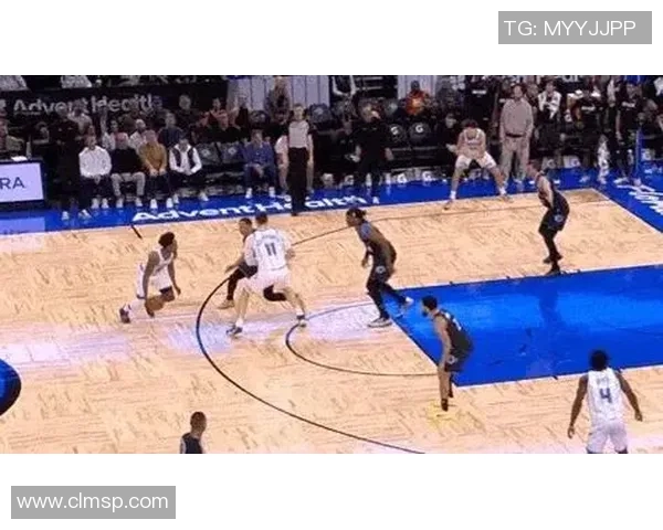 猛龙与黄蜂激战全程回顾 球队表现与战术分析 猛龙与黄蜂激战全程回顾 球队表现与战术分析