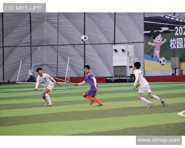 足球的魅力与文化传承：从历史发展到现代竞技的全球影响力探讨